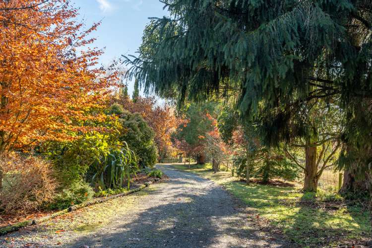 1015 Ellis Road Te Anau Surrounds_31