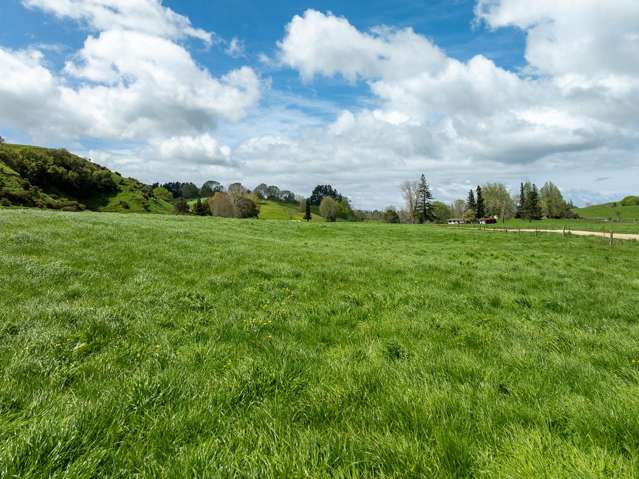 Lot 2/517 State Highway 1 Tirau_3