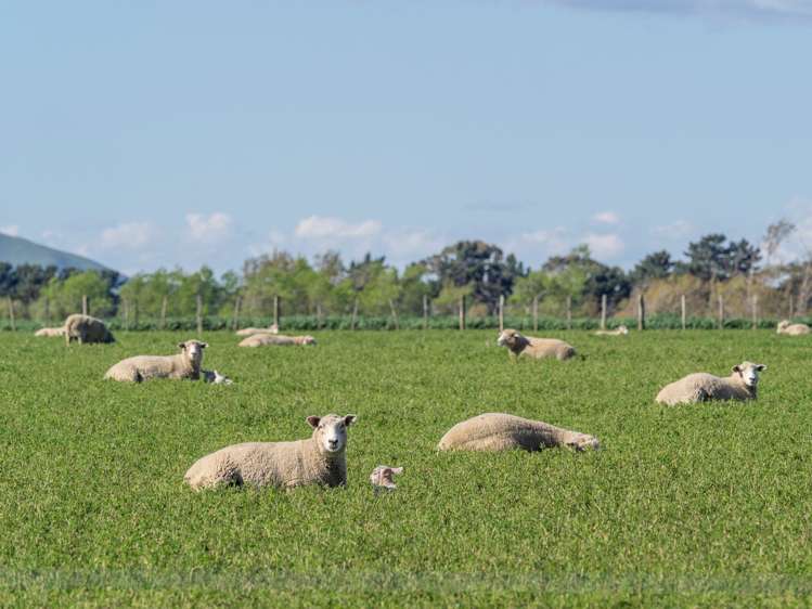 749 Lake Ferry Road Dyerville_12