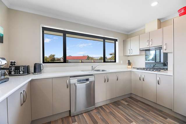 28 Anglesea Street Renwick_3