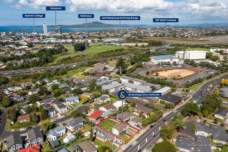 36 Akoranga Drive Northcote_10