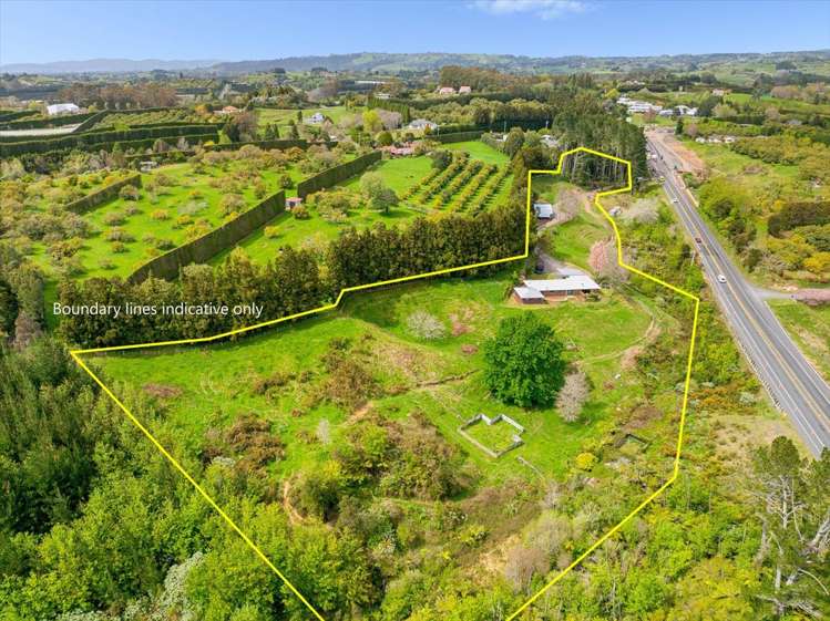 1538 State Highway 2 Whakamarama_6