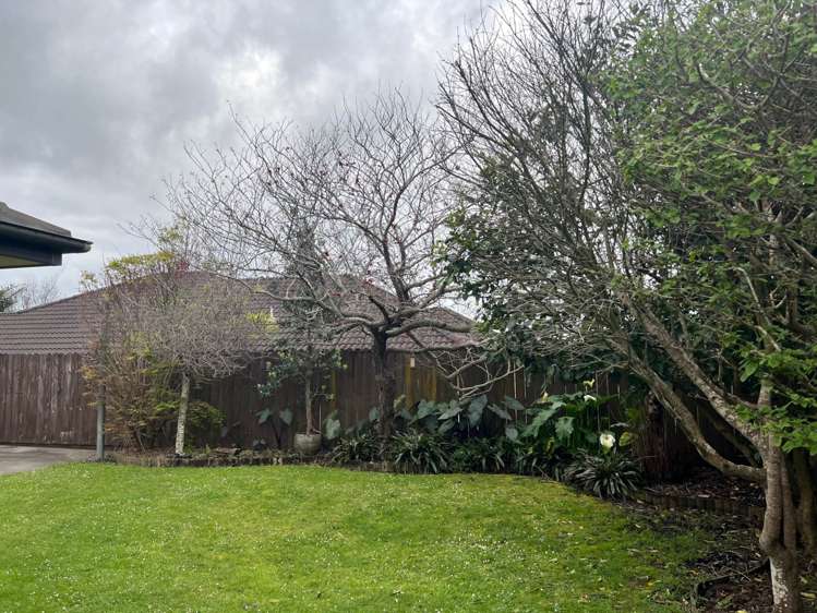 23 Mccall Drive Waiuku_12