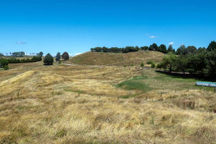 93 Oak Drive Wairakei and Surrounds_39