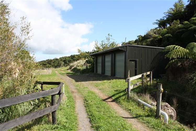 560 Neavesville Road Puriri_5