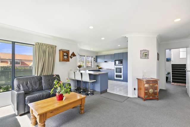 104 Westchester Drive Churton Park_3