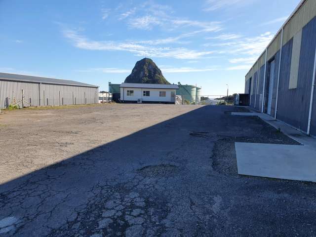 33 Portview Crescent Moturoa_3