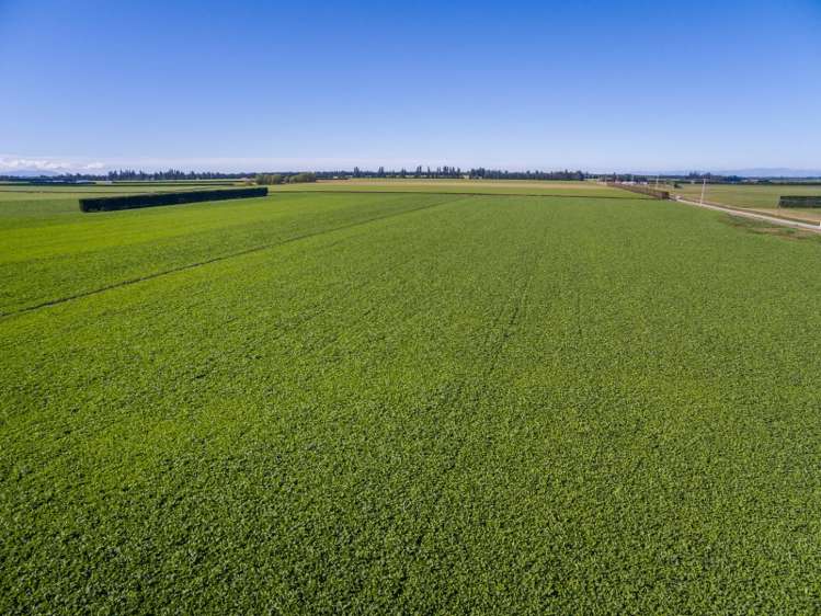 379 Kimberley Road Darfield_25