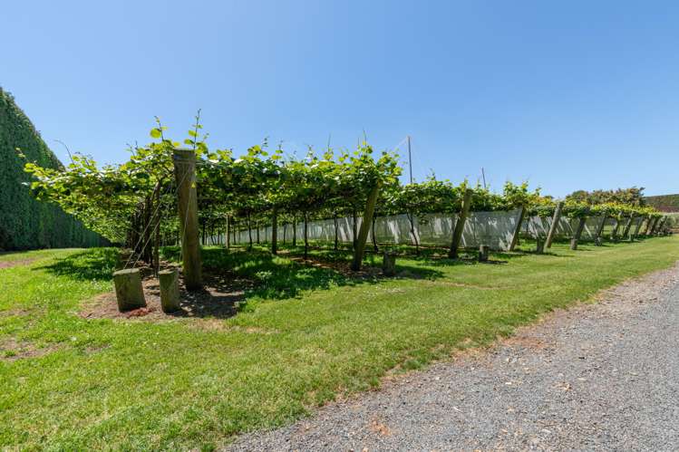 154B Wairoa Road Te Puna_5