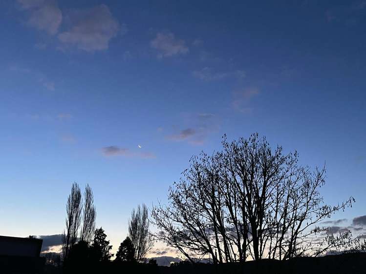 677 Hikumutu Road Hikumutu_22