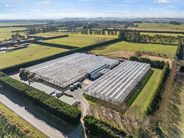 Prime Glasshouse Opportunity with Lifestyle