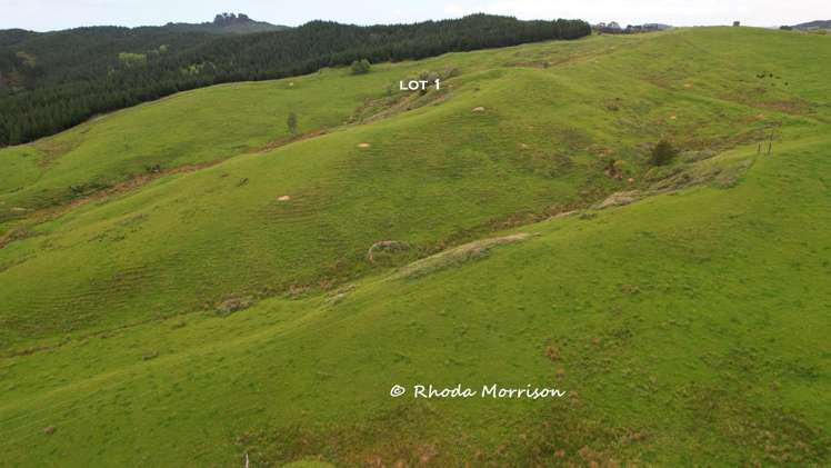 Golden Stairs Rd Maungaturoto_22