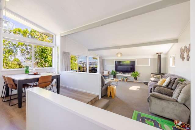 22 McLean Terrace Waipukurau_2