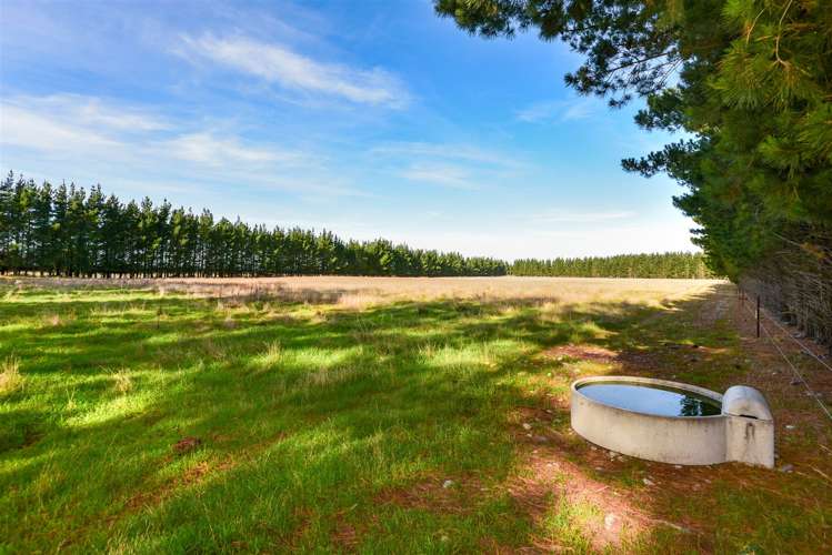 352 Knyvetts Road Southbridge_23