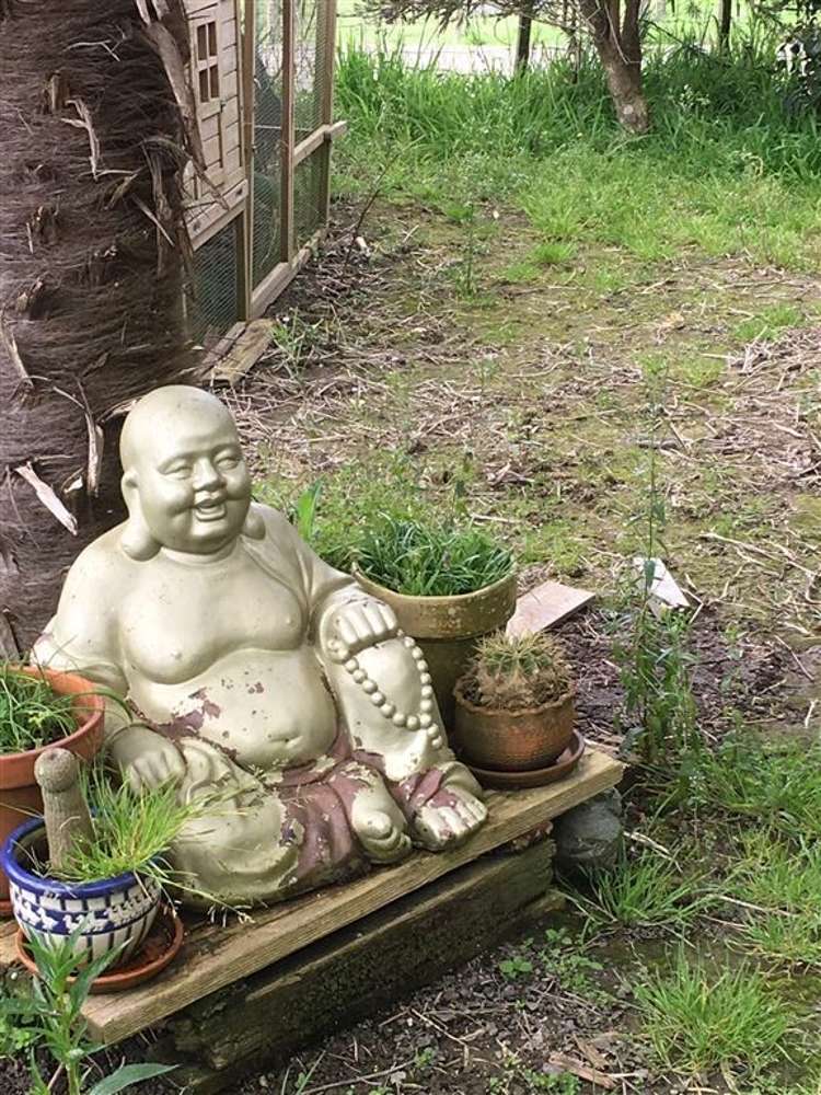 119 Rusk Road Hukerenui and Surrounds_18