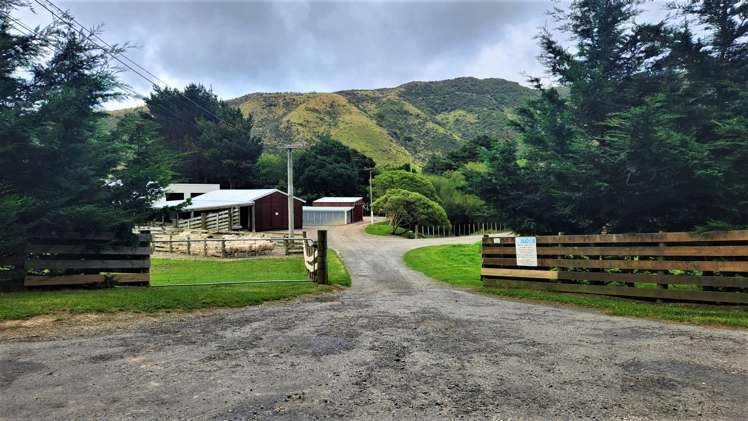 1296 Coast Road Wainuiomata Coast_19
