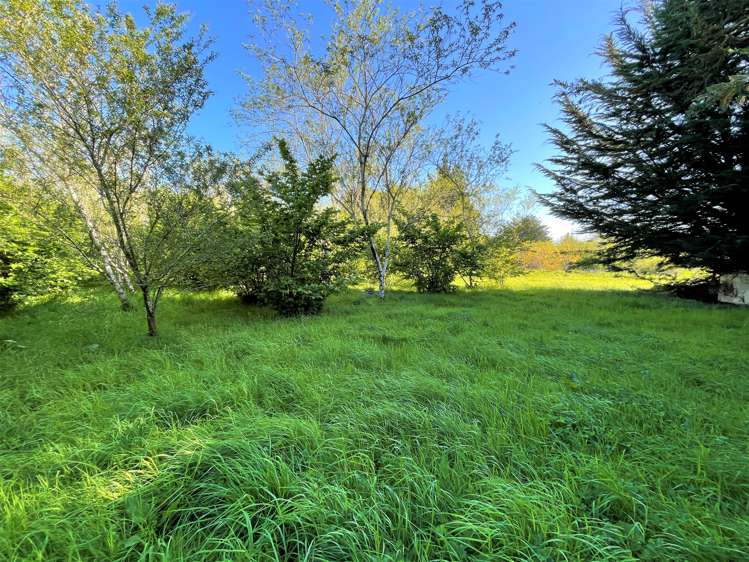 25 Newport Street Milton_1