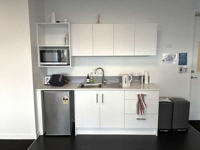 33 Totara Street Mt Maunganui_3