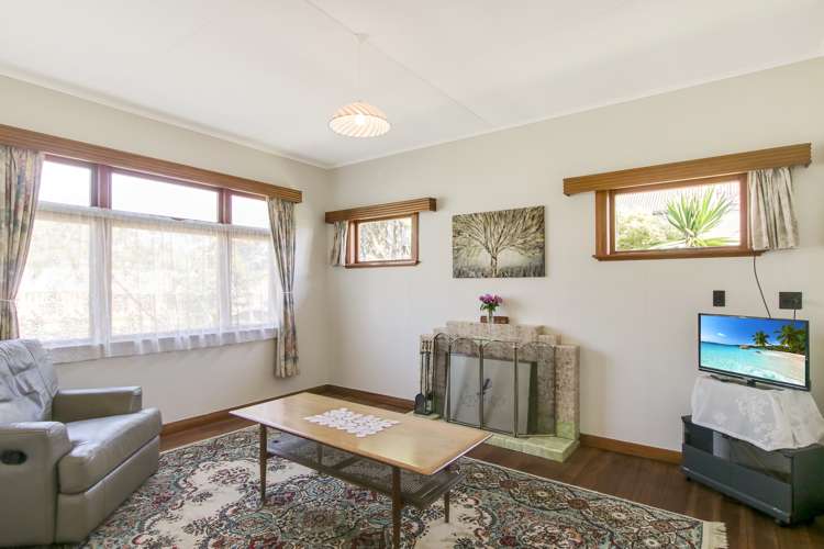 7 Daniell Street Bulls_7