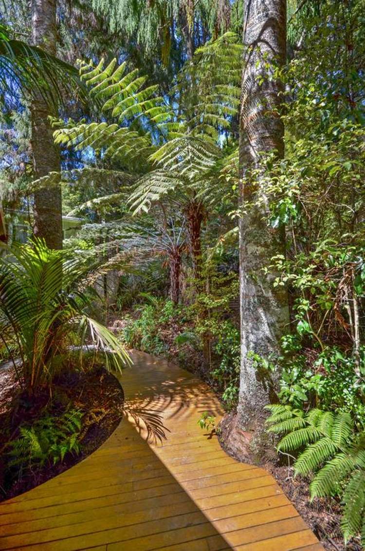 138 Konini Road Titirangi_19