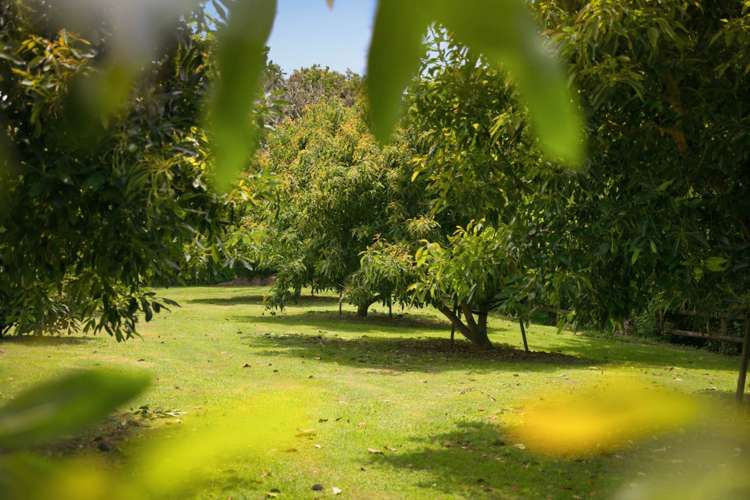 43 Waikaraka Drive West Te Puna_39