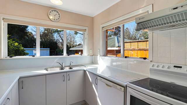 6 Fitzgerald Avenue Matamata_3