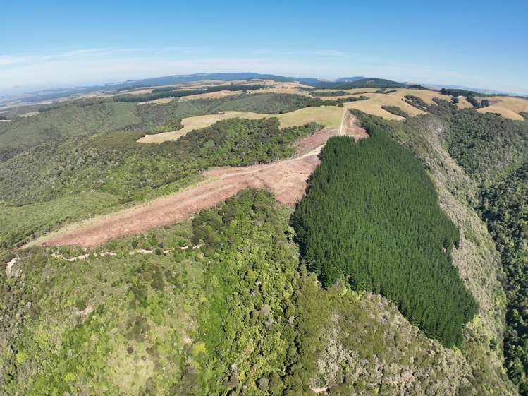 Finlayson Road Taieri Mouth_4