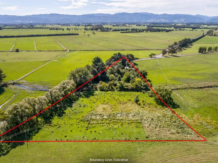 595 Wards Line Greytown_25