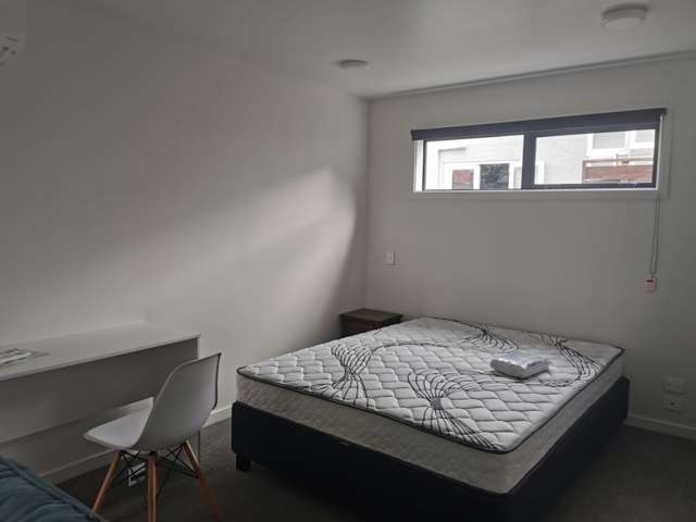 C/287 Castle Street Dunedin Central_1