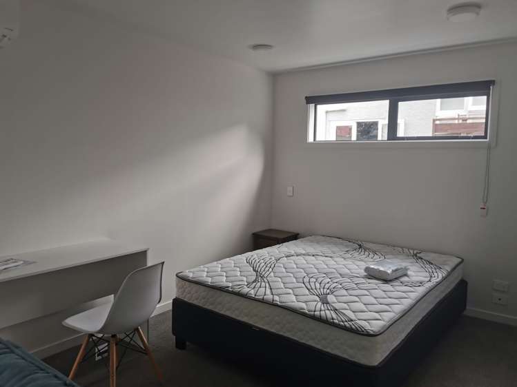 C/287 Castle Street Dunedin Central_1