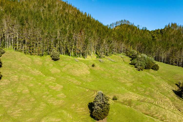 255 O'Carroll Road Maungakaramea_12