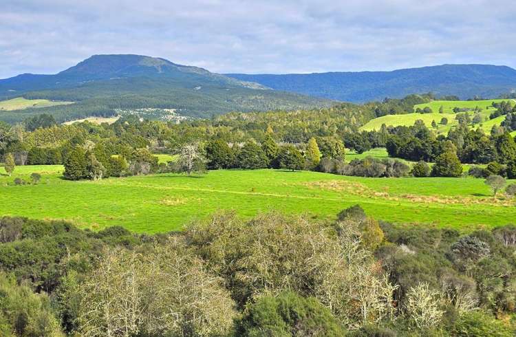 334 Otaua Road Taheke_12