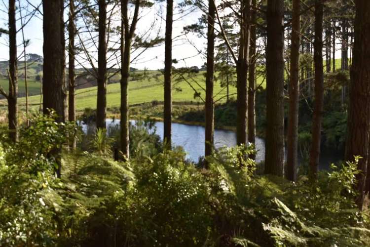 136 Valley Road Waitoki_8