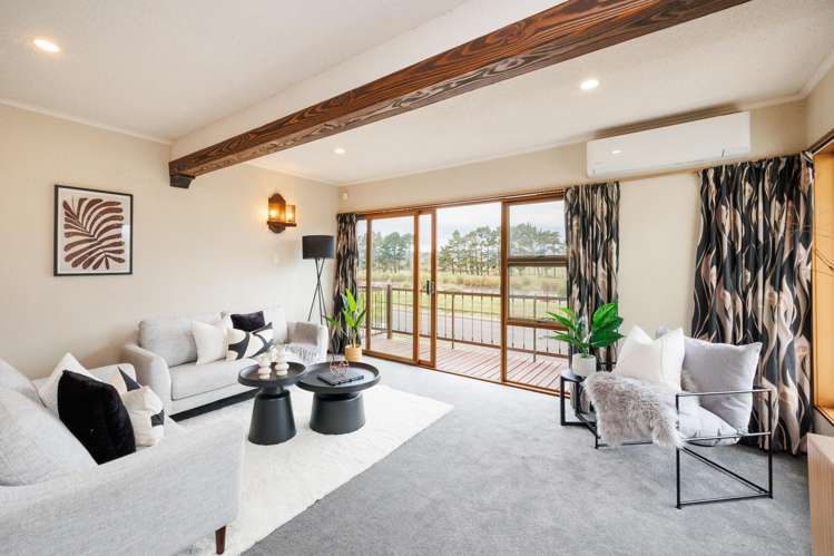 47 Dittmer Drive Awapuni_13