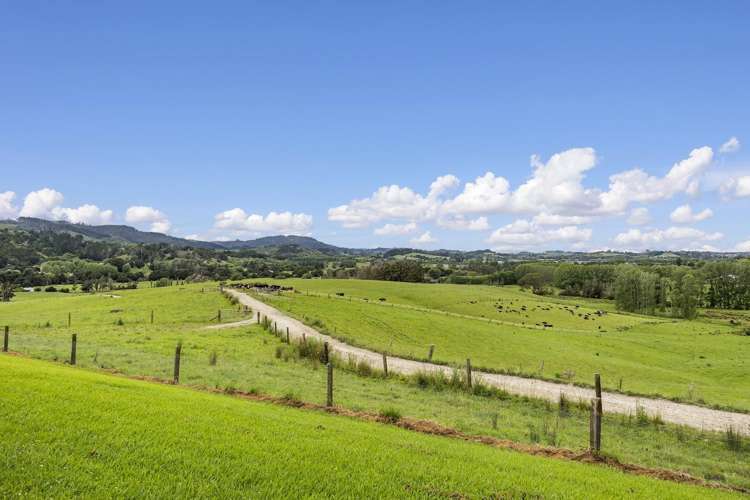 473 Kaipara Flats Road Kaipara Flats_10