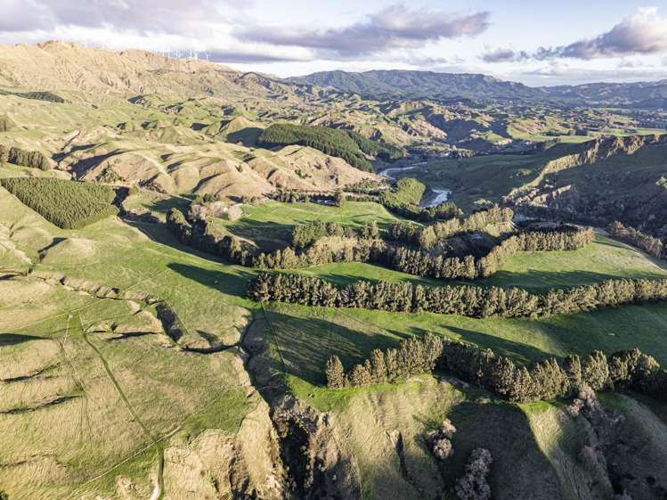 1015 Waitara Road Te Haroto_41