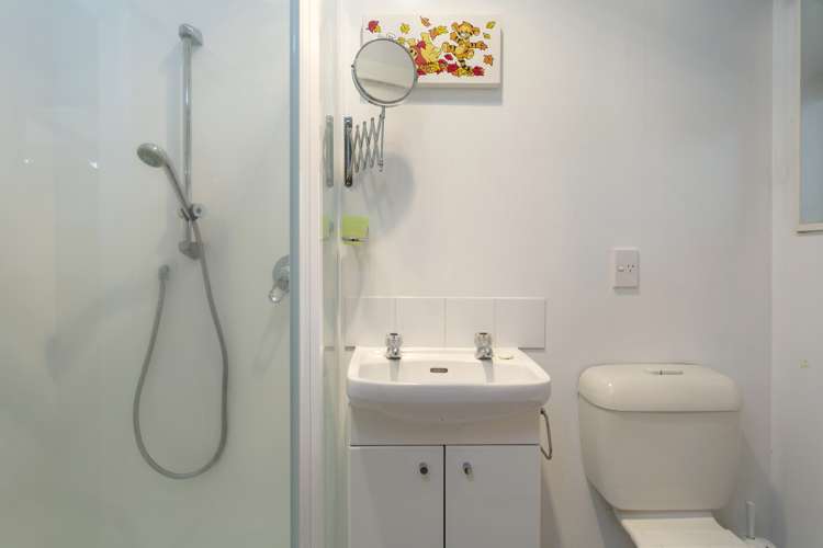 250 Link Road Wairakei and Surrounds_23