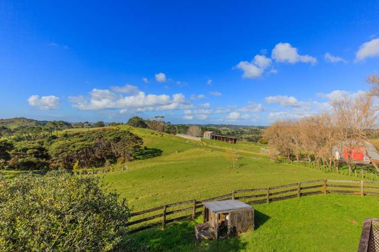 418 Blackbridge Road Dairy Flat_5