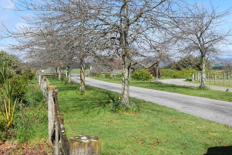 836b State Highway 2 Opaki_18