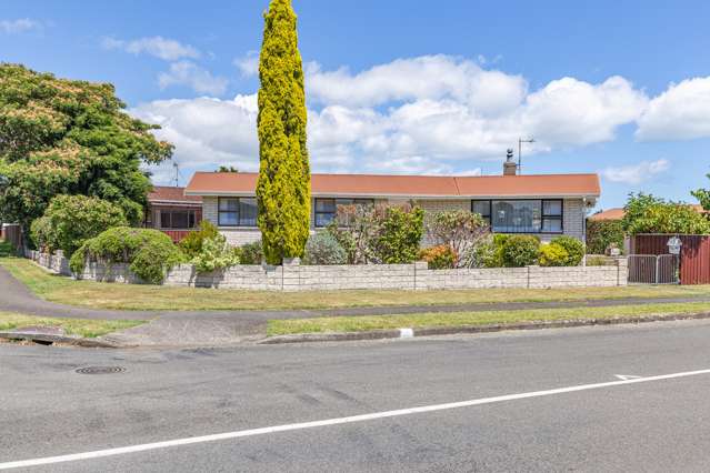 169 Tiro Tiro Road Levin_3