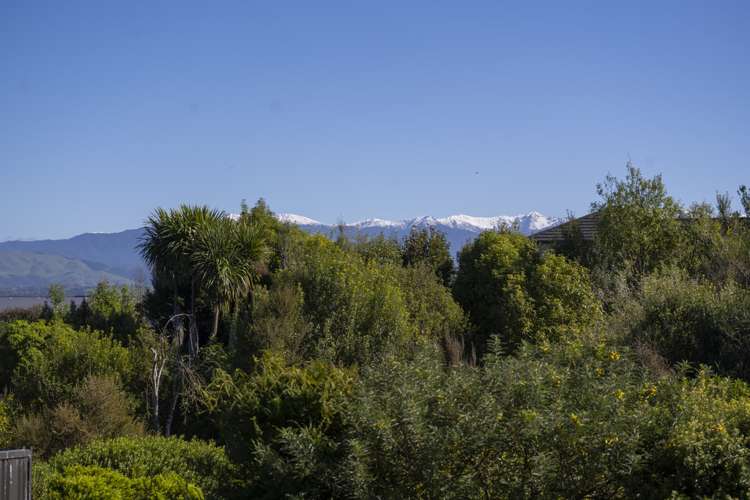 111 Manuka Street Masterton_18