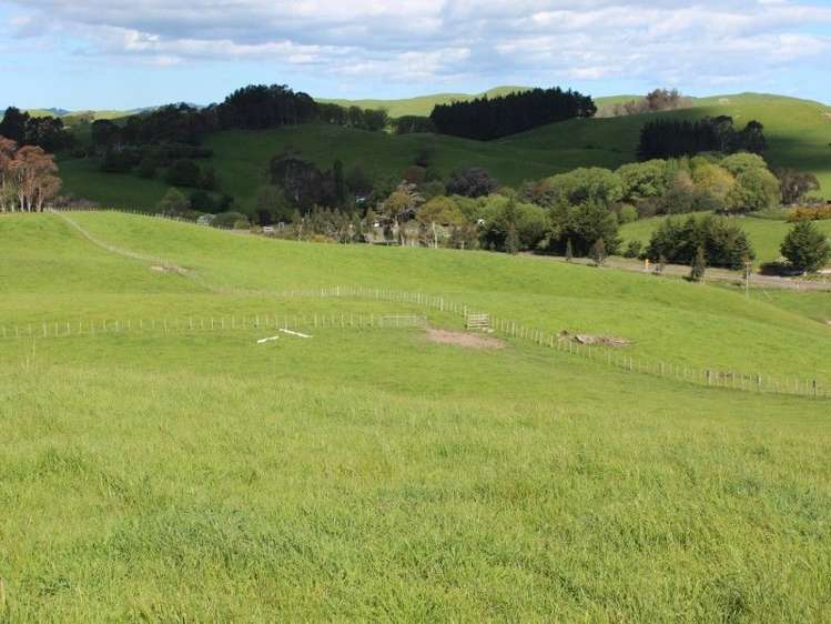 1305 State Highway 2 Waipawa_6