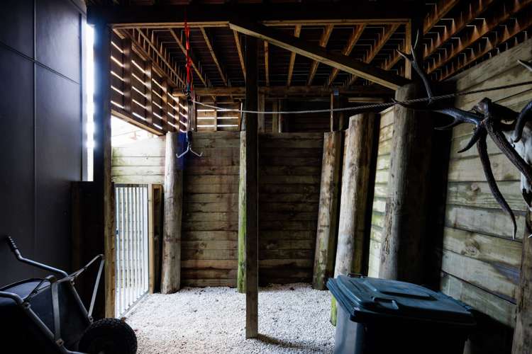 42 Williamson Street Cambridge_30