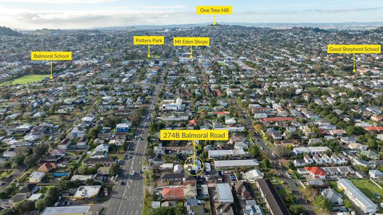 274b Balmoral Road Sandringham_28