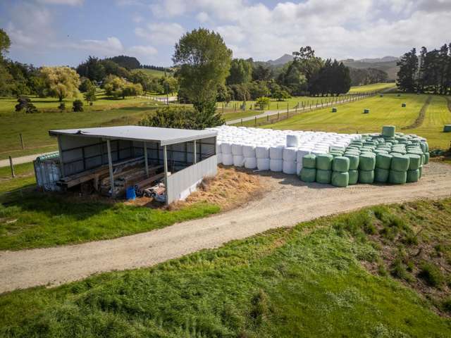 121 Joyce Road Hampden_4