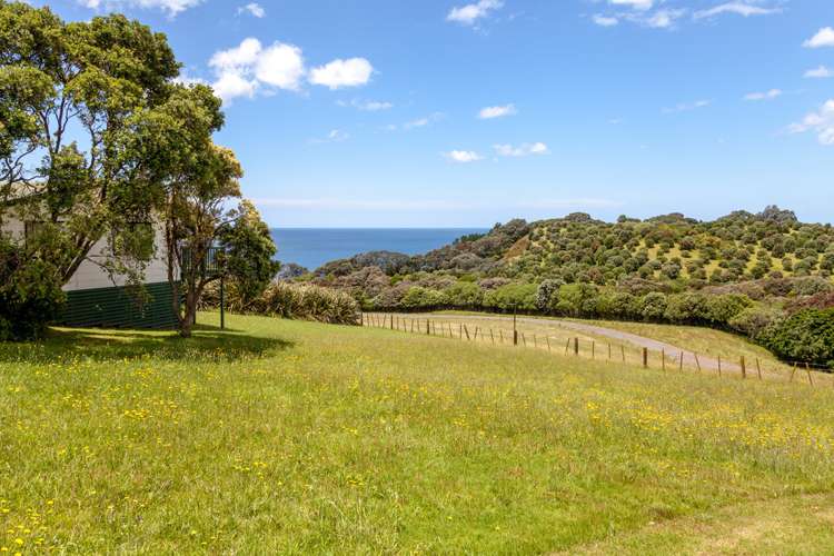 443 Onemana Drive Onemana_10