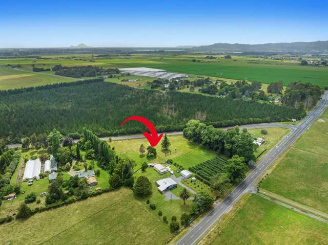 2354 State Highway 30 Otakiri_4