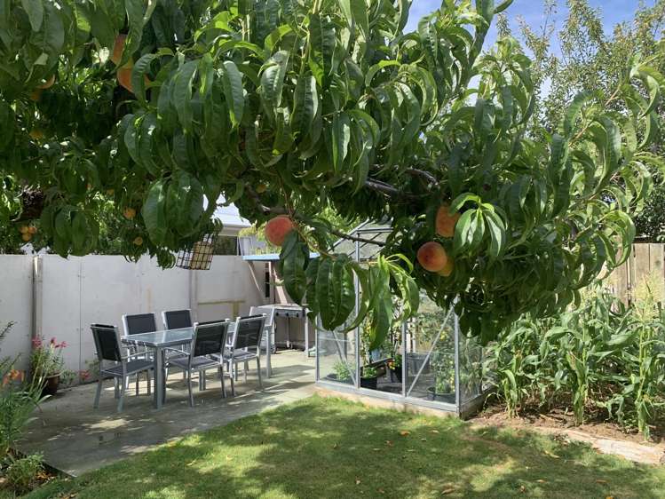 69 Waenga Drive Cromwell_2