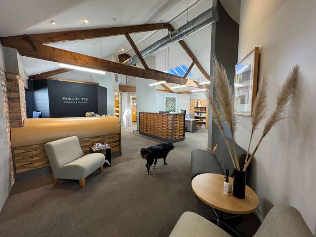 Hurstmere Road Takapuna_1