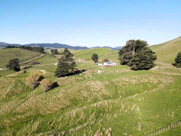 147 Mangatuna Road_0